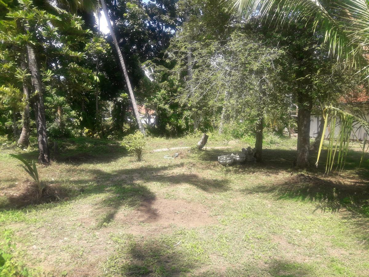 米瑞莎 International Meditation Center酒店 外观 照片
